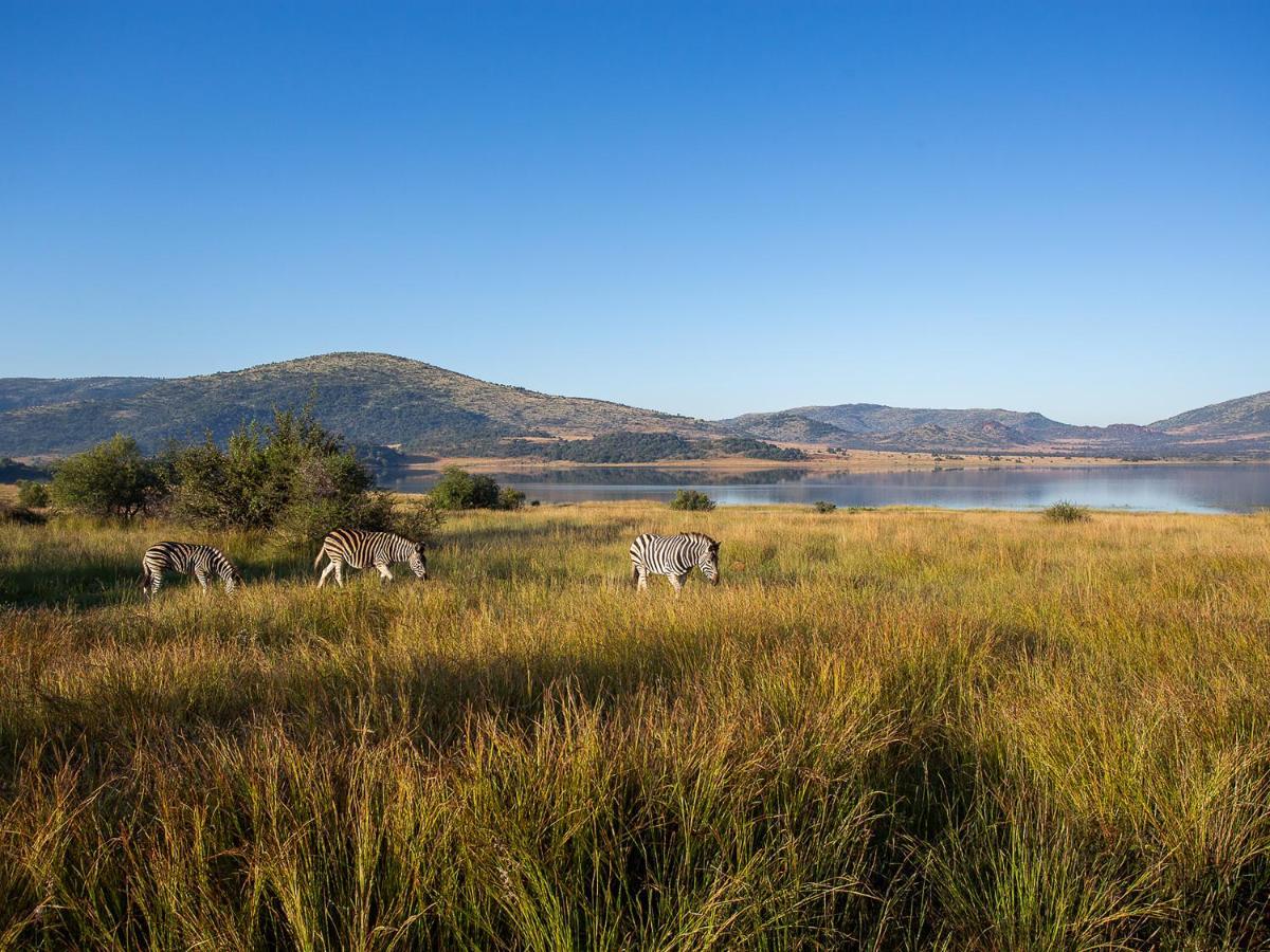 Shepherds Tree Game Reserve Villa Pilanesberg Exterior foto